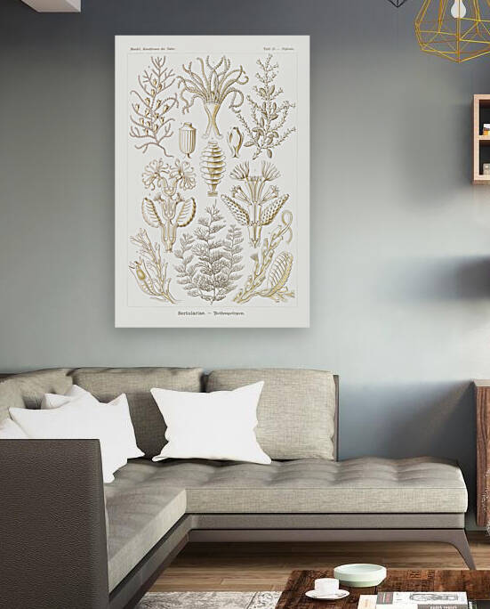 ernst haeckel by artvi