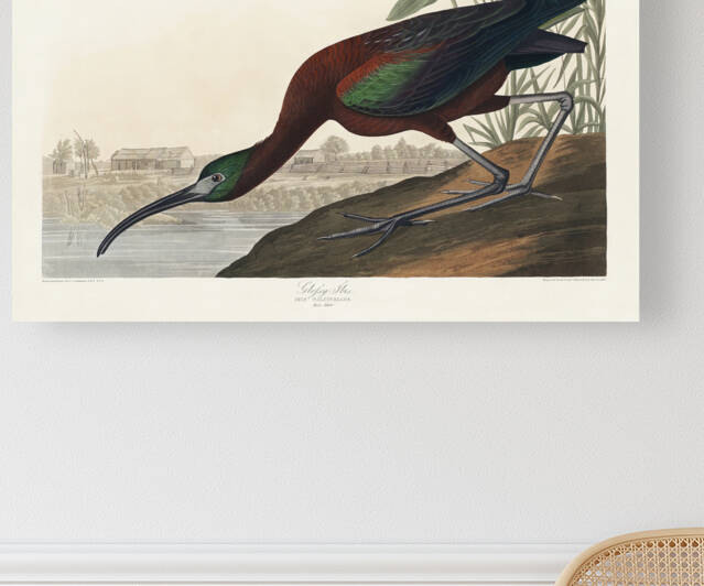 01 John James Audubon  3 by artvi