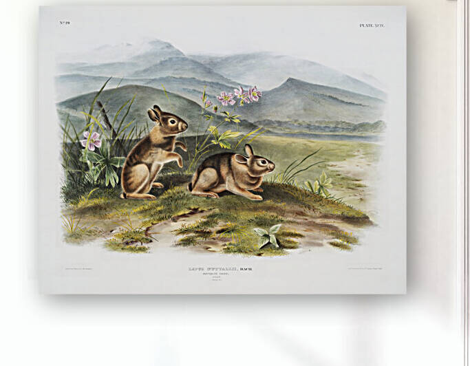 25  John James Audubon 2 by artvi