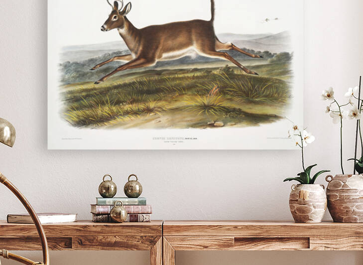 25  John James Audubon 49 by artvi