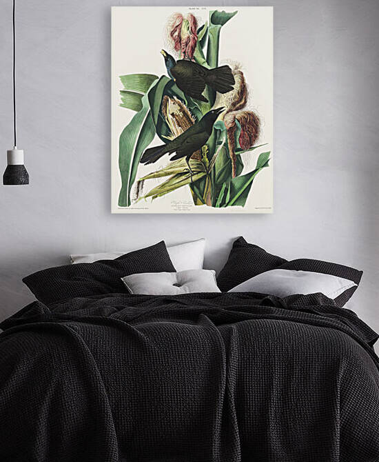 25  John James Audubon 71 by artvi