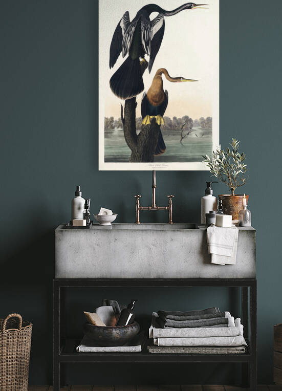 25  John James Audubon 88 by artvi