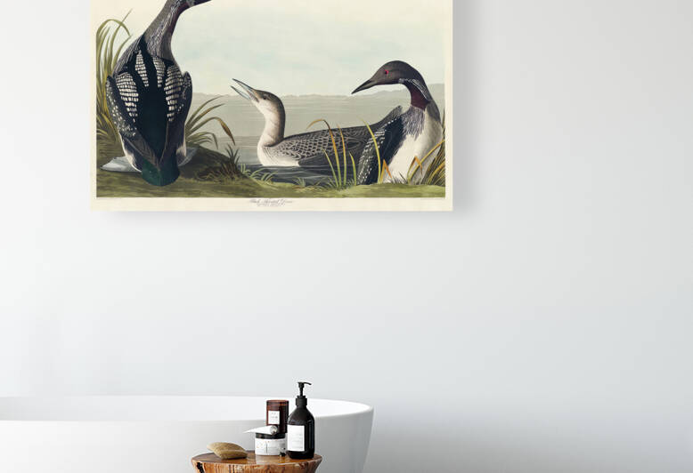 25  John James Audubon 99 by artvi