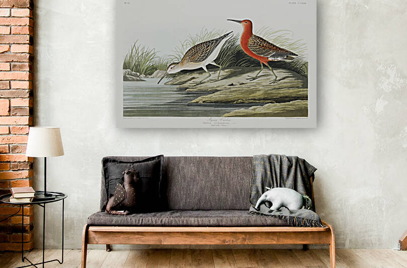 25  John James Audubon 114 by artvi