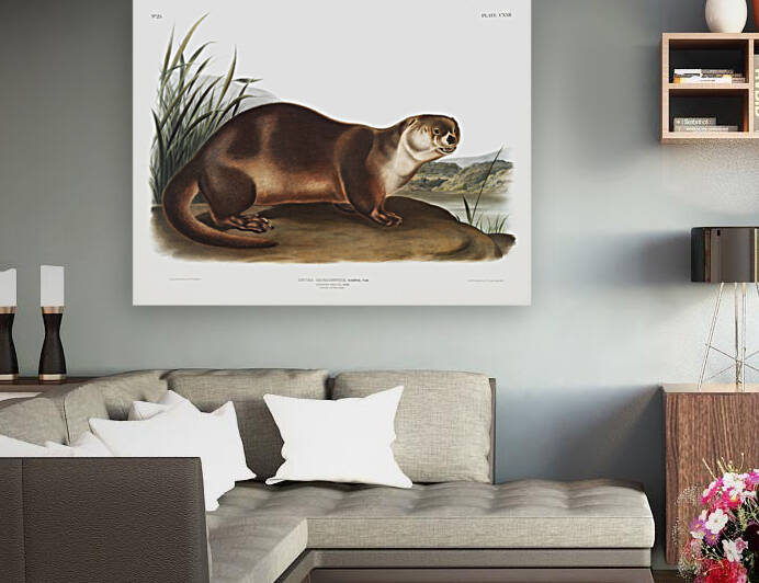 5955 John James Audubon  11 by artvi