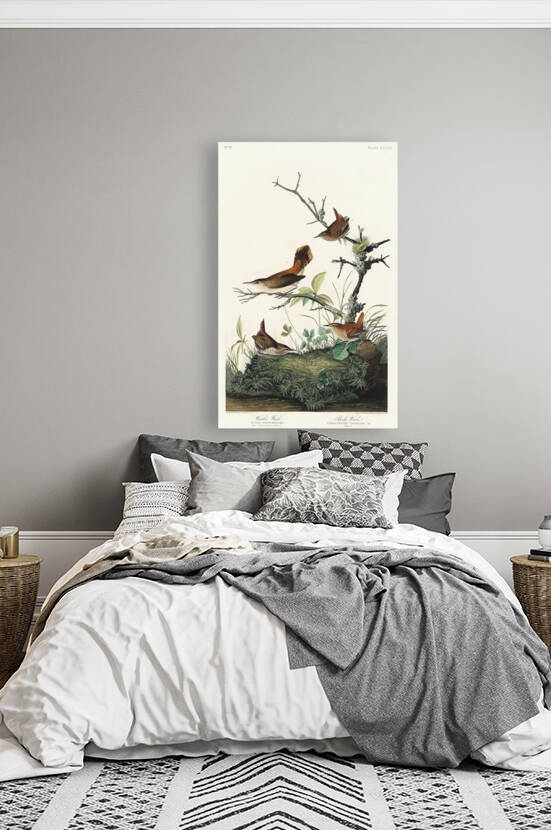 5955 John James Audubon  26 by artvi
