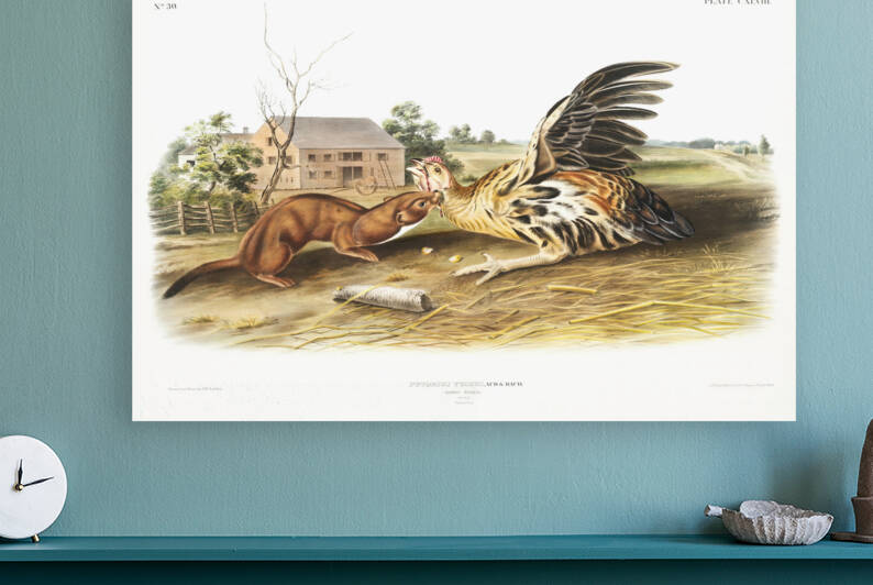 5955 John James Audubon  10 by artvi