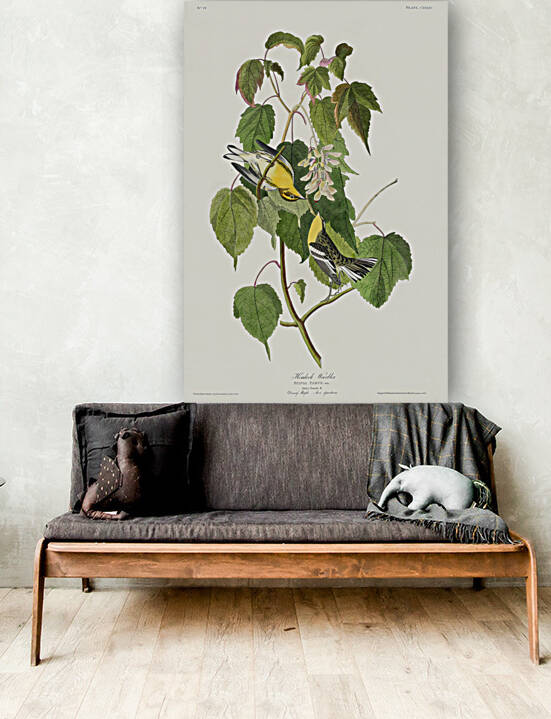 5955 John James Audubon  20 by artvi