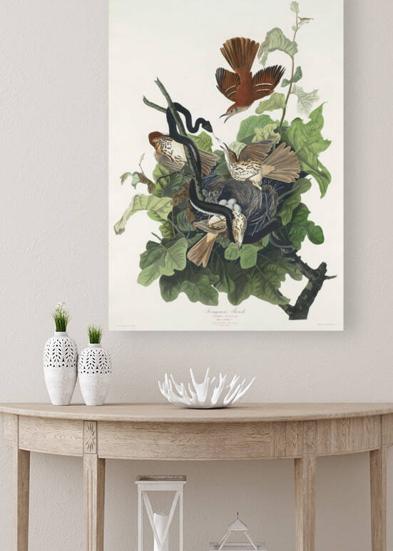5955 John James Audubon  38 by artvi