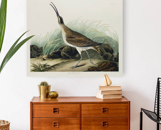 5955 John James Audubon  44 by artvi
