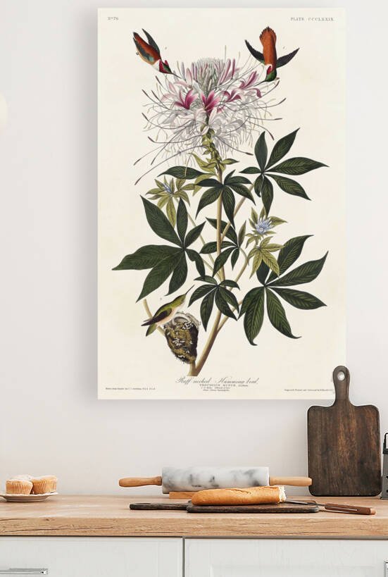 5955 John James Audubon  37 by artvi