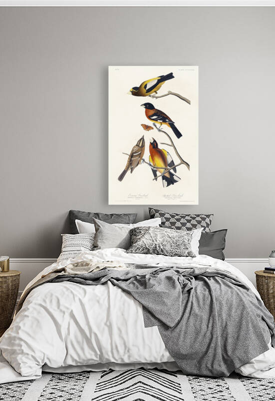 5955 John James Audubon  41 by artvi