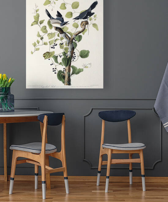 5955 John James Audubon  59 by artvi