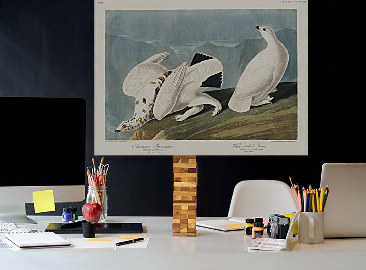 5955 John James Audubon  58 by artvi