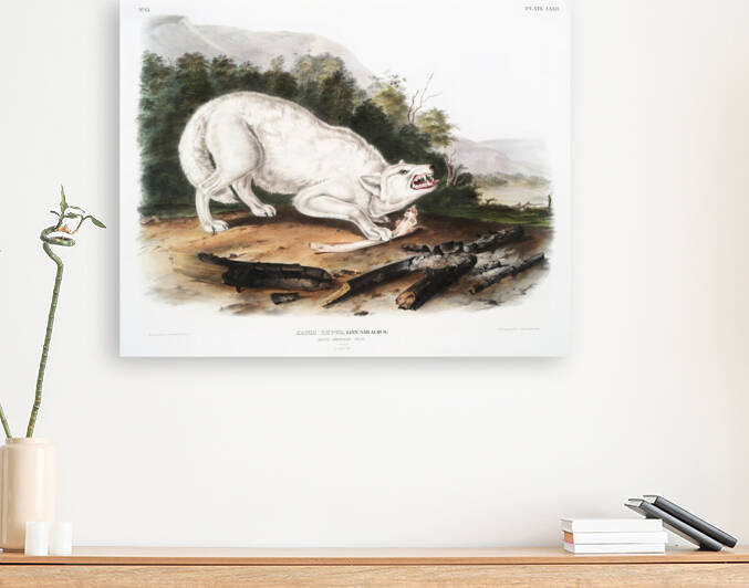 5955 John James Audubon  70 by artvi