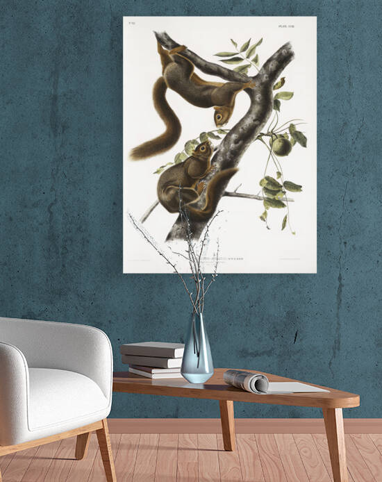 5955 John James Audubon  73 by artvi