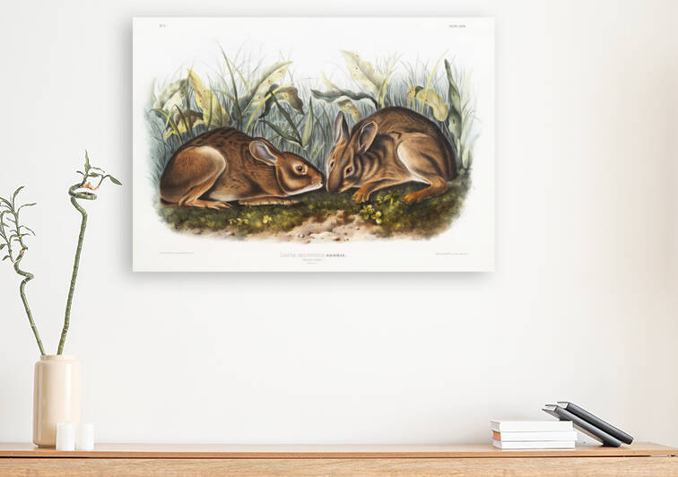 5955 John James Audubon  79 by artvi