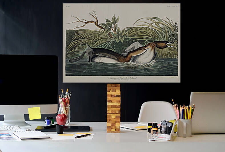 5955 John James Audubon  98 by artvi