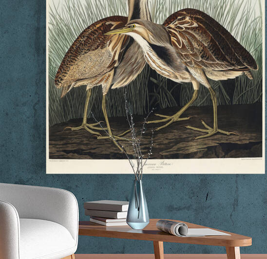 5955 John James Audubon  91 by artvi
