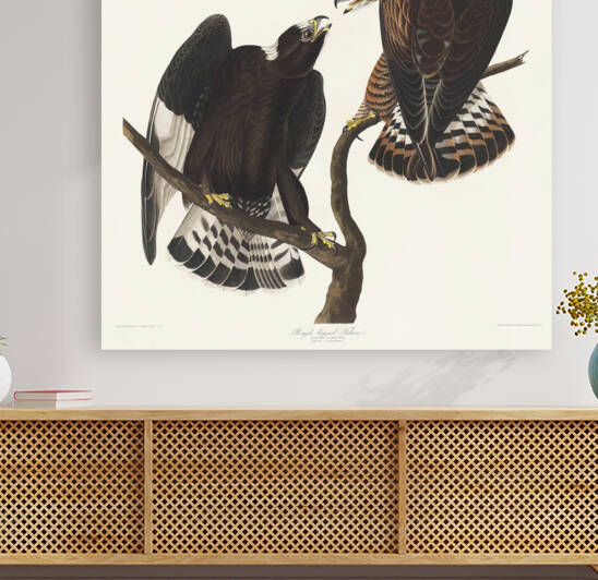 5955 John James Audubon  90 by artvi