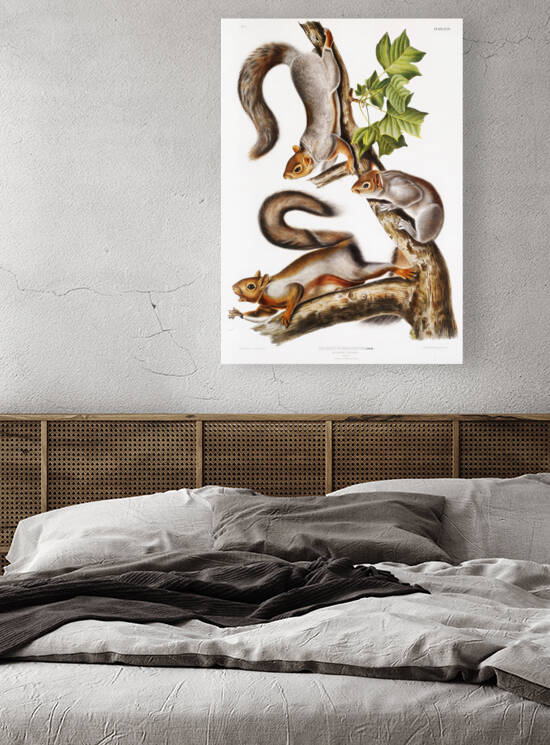 5955 John James Audubon  113 by artvi