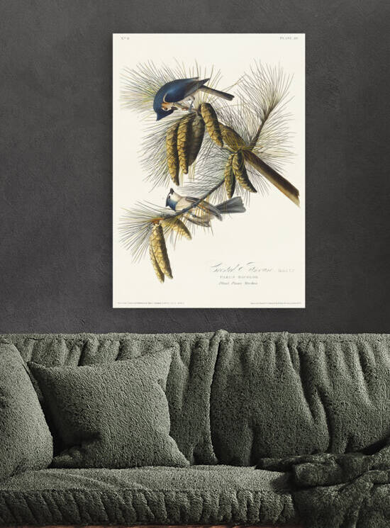 5955 John James Audubon  100 by artvi
