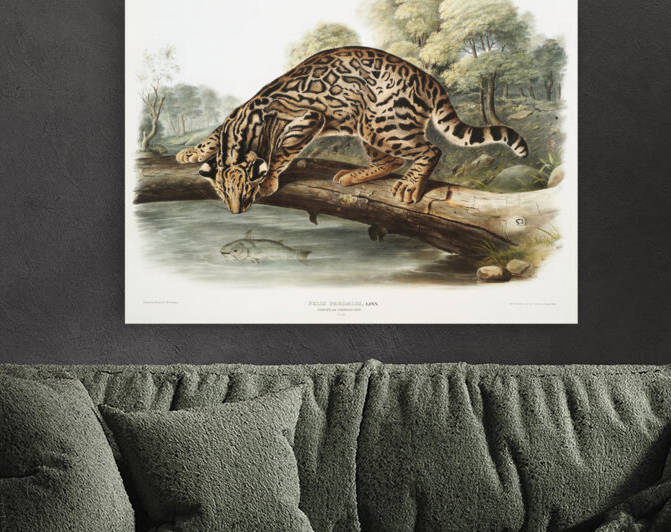 5955 John James Audubon  114 by artvi