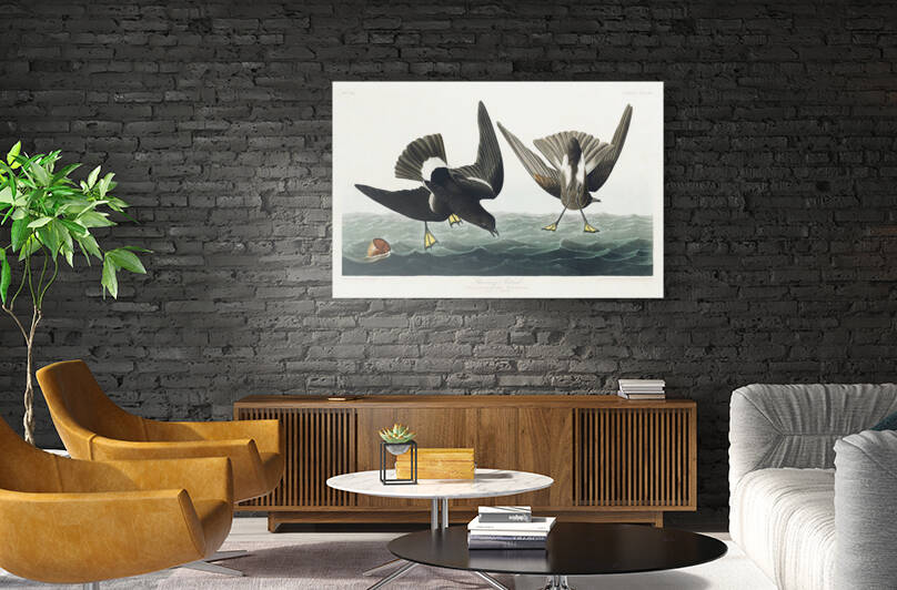 5955 John James Audubon  125 by artvi