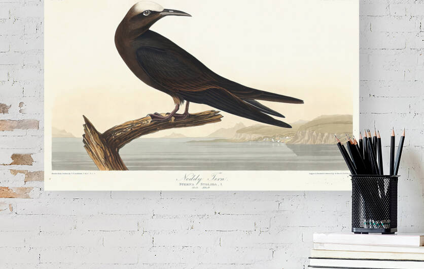 5955 John James Audubon  124 by artvi