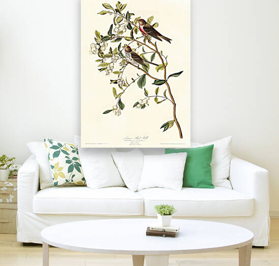 5955 John James Audubon  127 by artvi