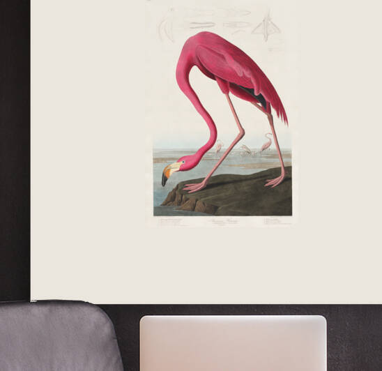 5955 John James Audubon  119 by artvi
