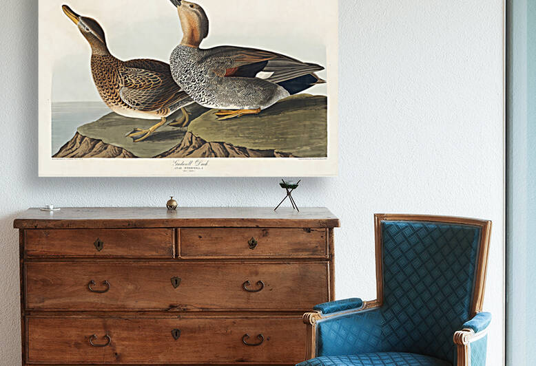 5955 John James Audubon  140 by artvi
