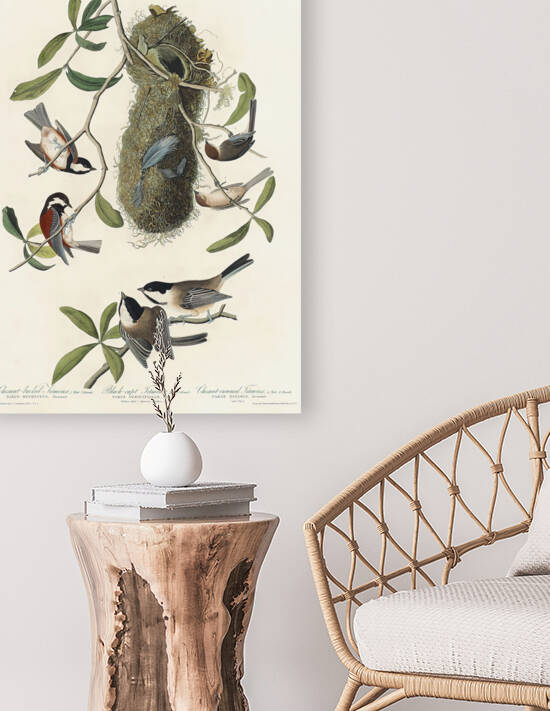 5955 John James Audubon  138 by artvi