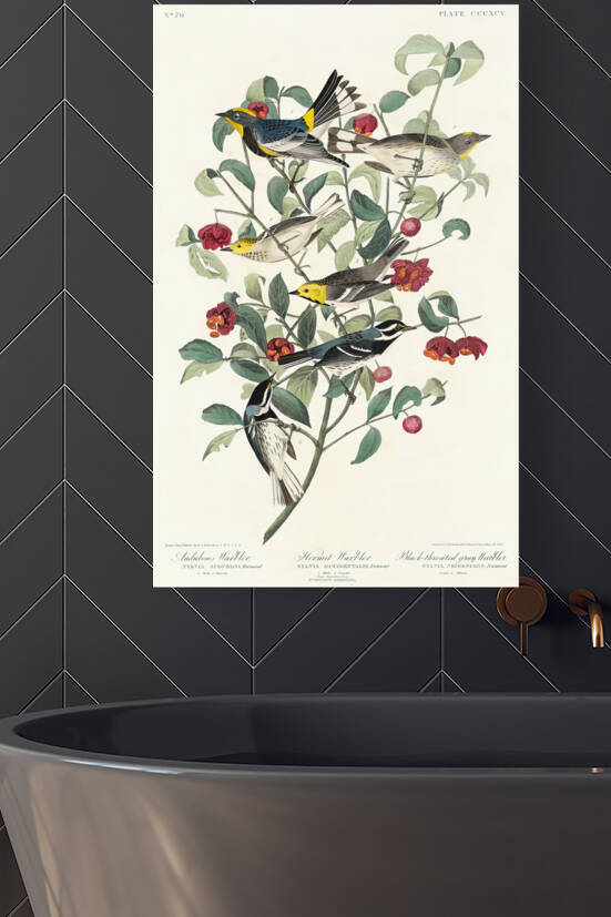 5955 John James Audubon  143 by artvi