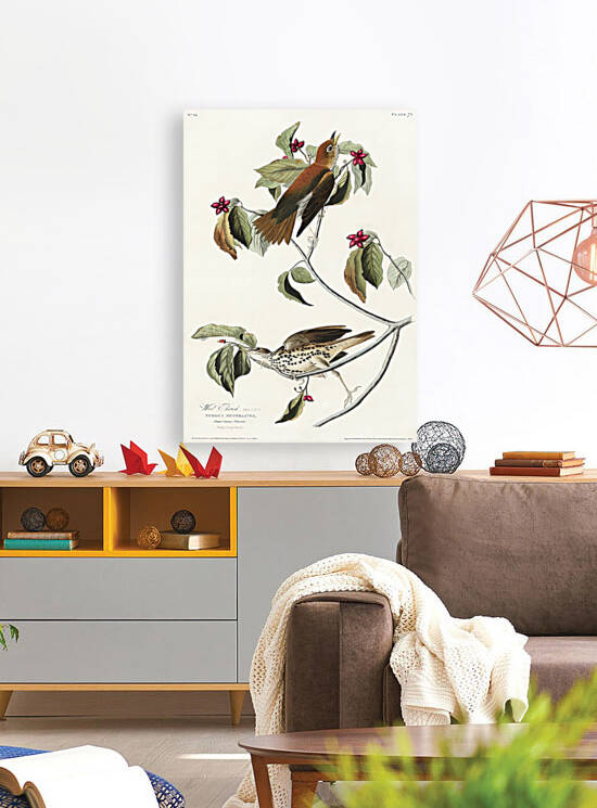 5955 John James Audubon  150 by artvi