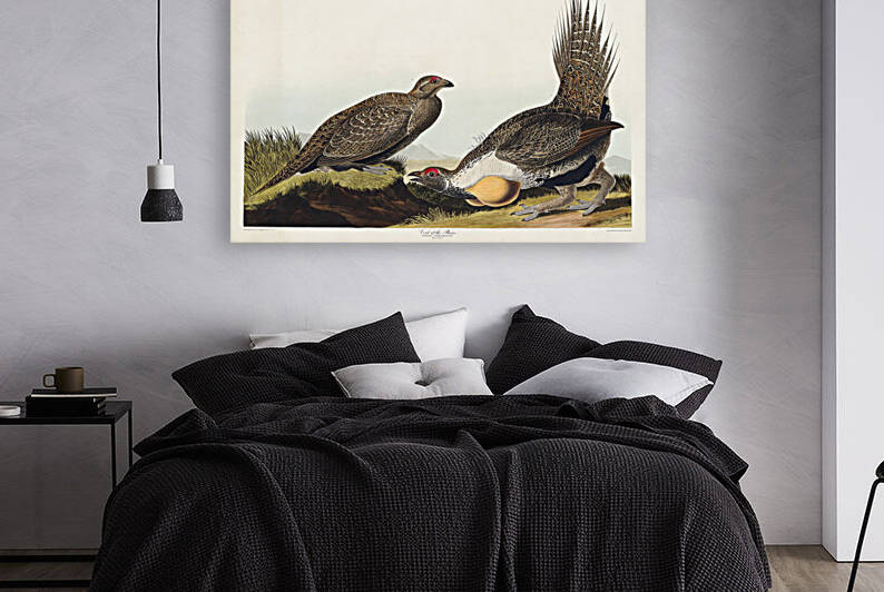 5955 John James Audubon  147 by artvi