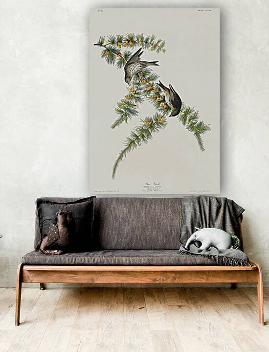 5955 John James Audubon  159 by artvi