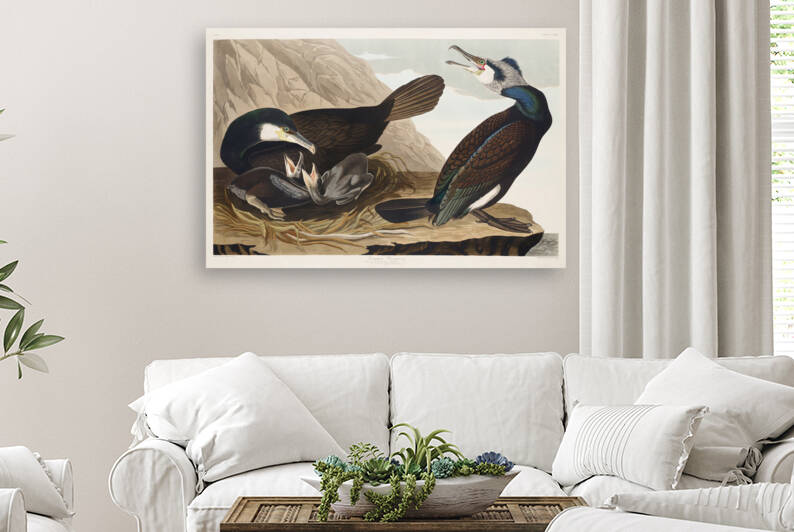 5955 John James Audubon  154 by artvi