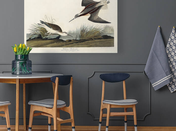 6182 John James Audubon  10 by artvi