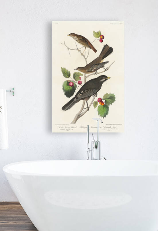 6182 John James Audubon  19 by artvi