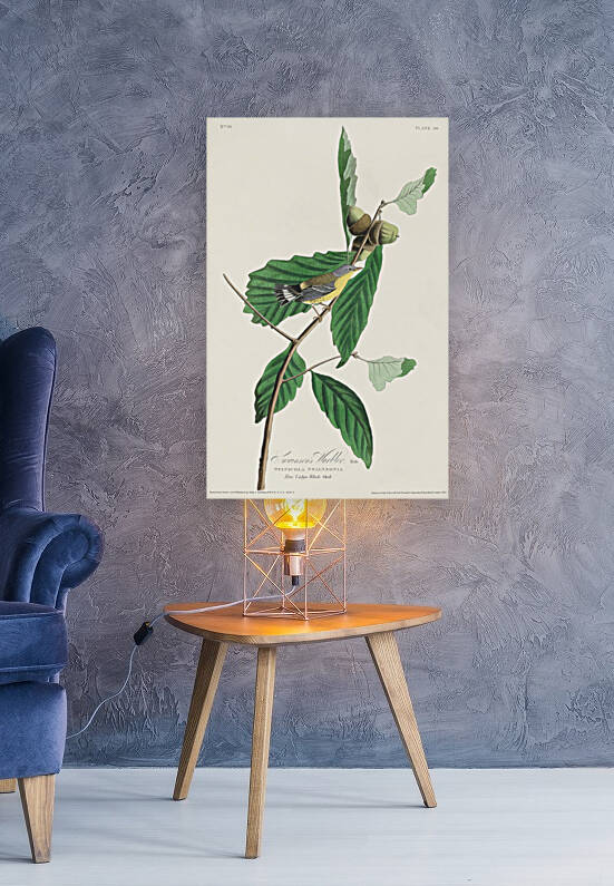 6182 John James Audubon  21 Reproduction