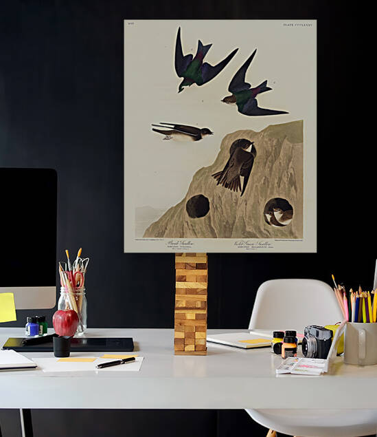 6182 John James Audubon  29 by artvi