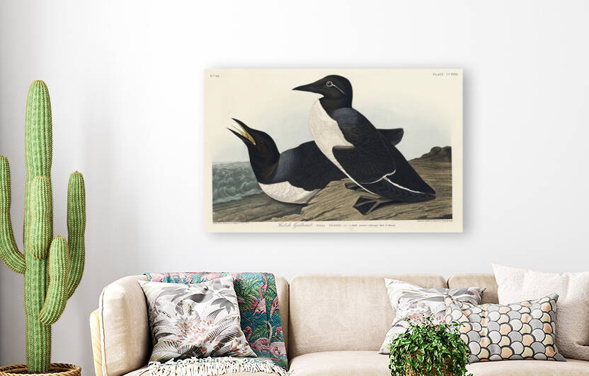 6182 John James Audubon  44 by artvi