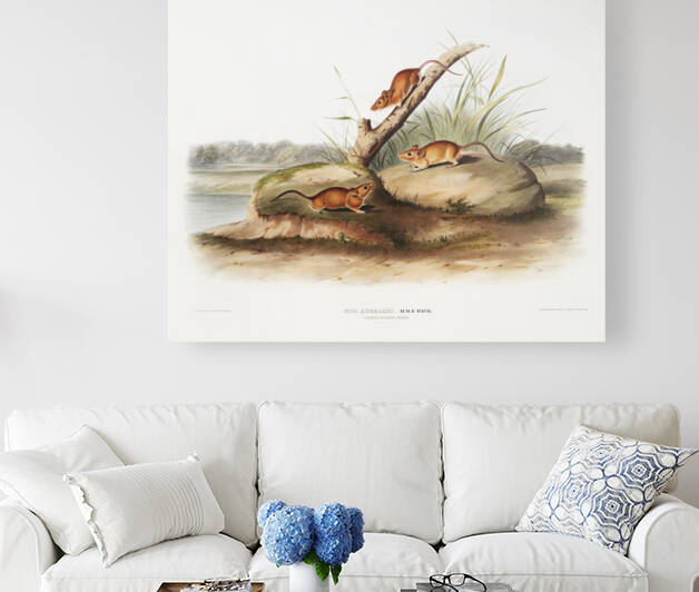 6182 John James Audubon  49 by artvi