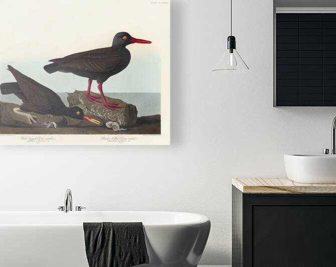 6182 John James Audubon  39 by artvi