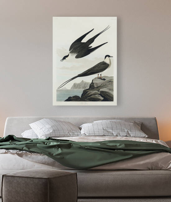 6182 John James Audubon  38 by artvi