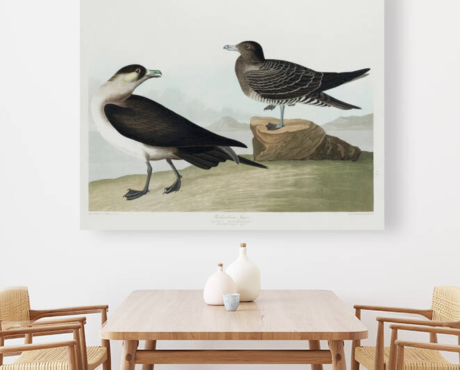 6182 John James Audubon  37 by artvi
