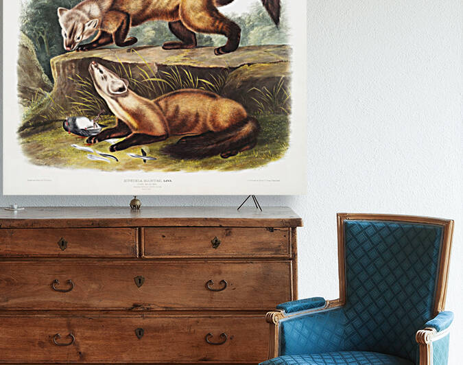 6182 John James Audubon  50 by artvi