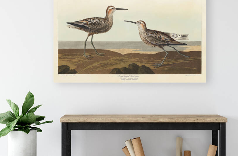 6182 John James Audubon  62 by artvi