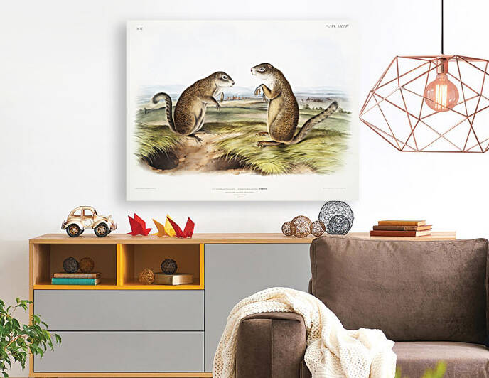 6182 John James Audubon  61 by artvi